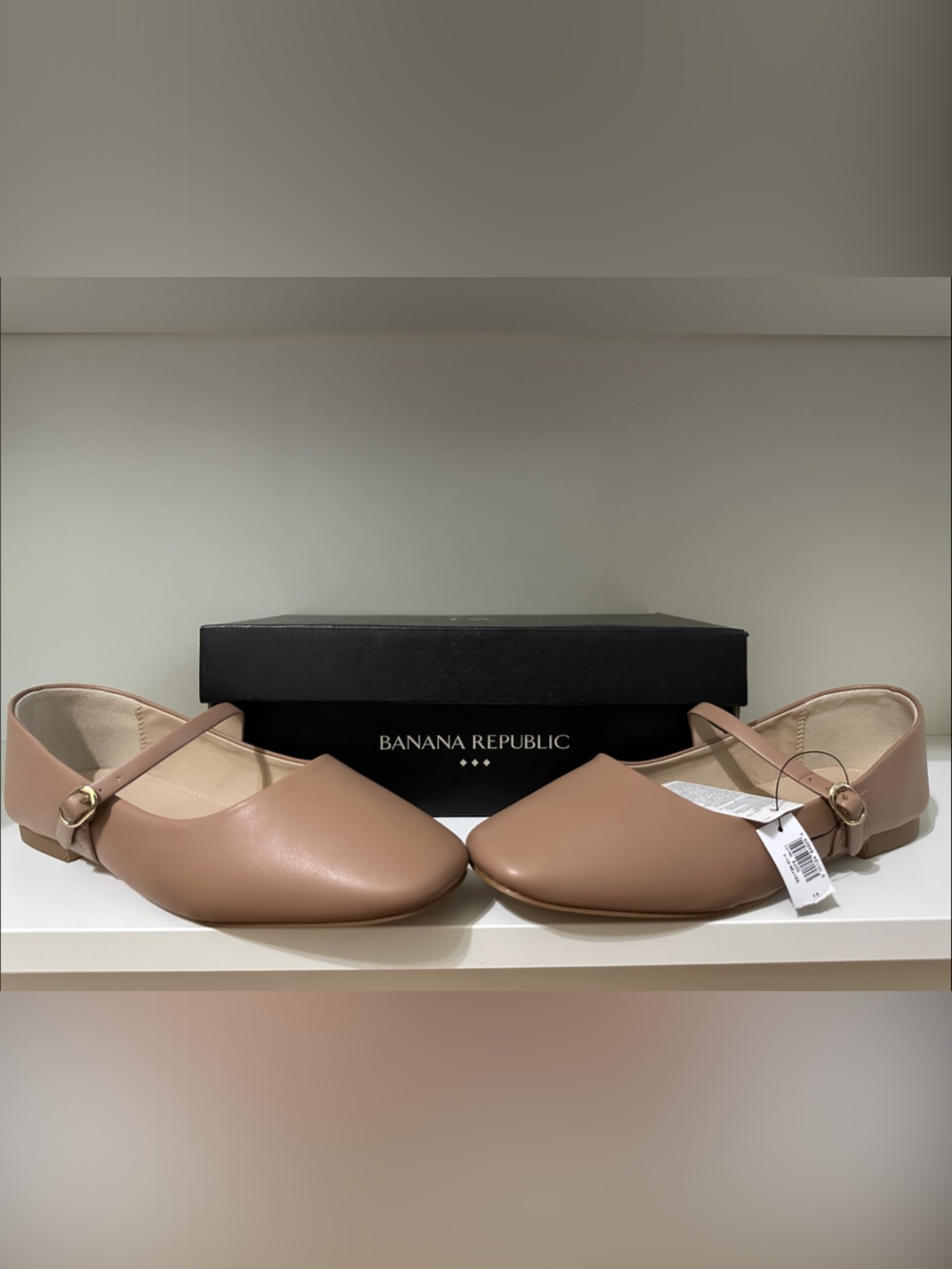 Banana Republic Nude Blush Mary Jane Flats